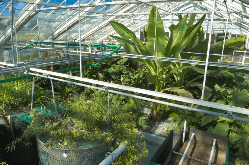 Inside wastewater treatment facility at NEB Ipswich campus