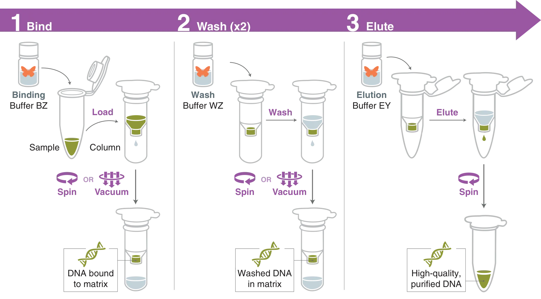 Infographic showing workflow