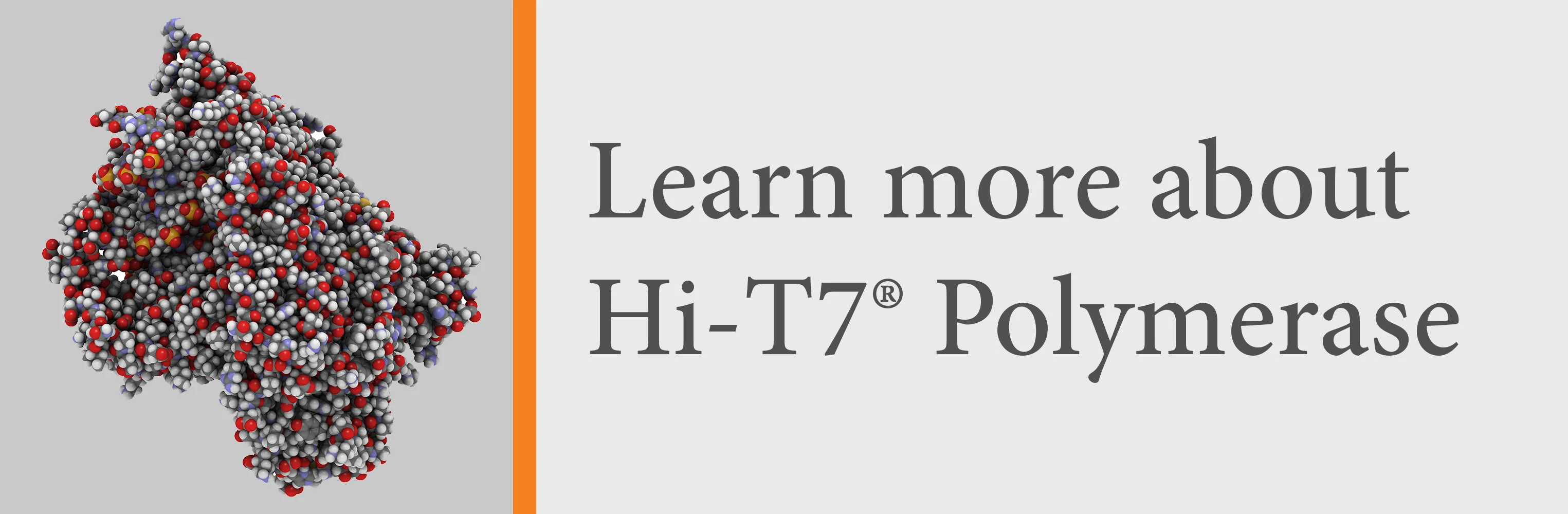 Call-to-action for Hi-T7® Polymerase