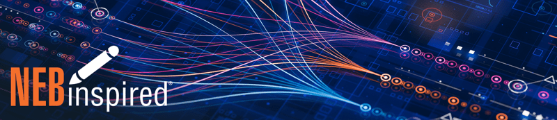 Digital network of fibers in circuitboard, with NEBinspired logo