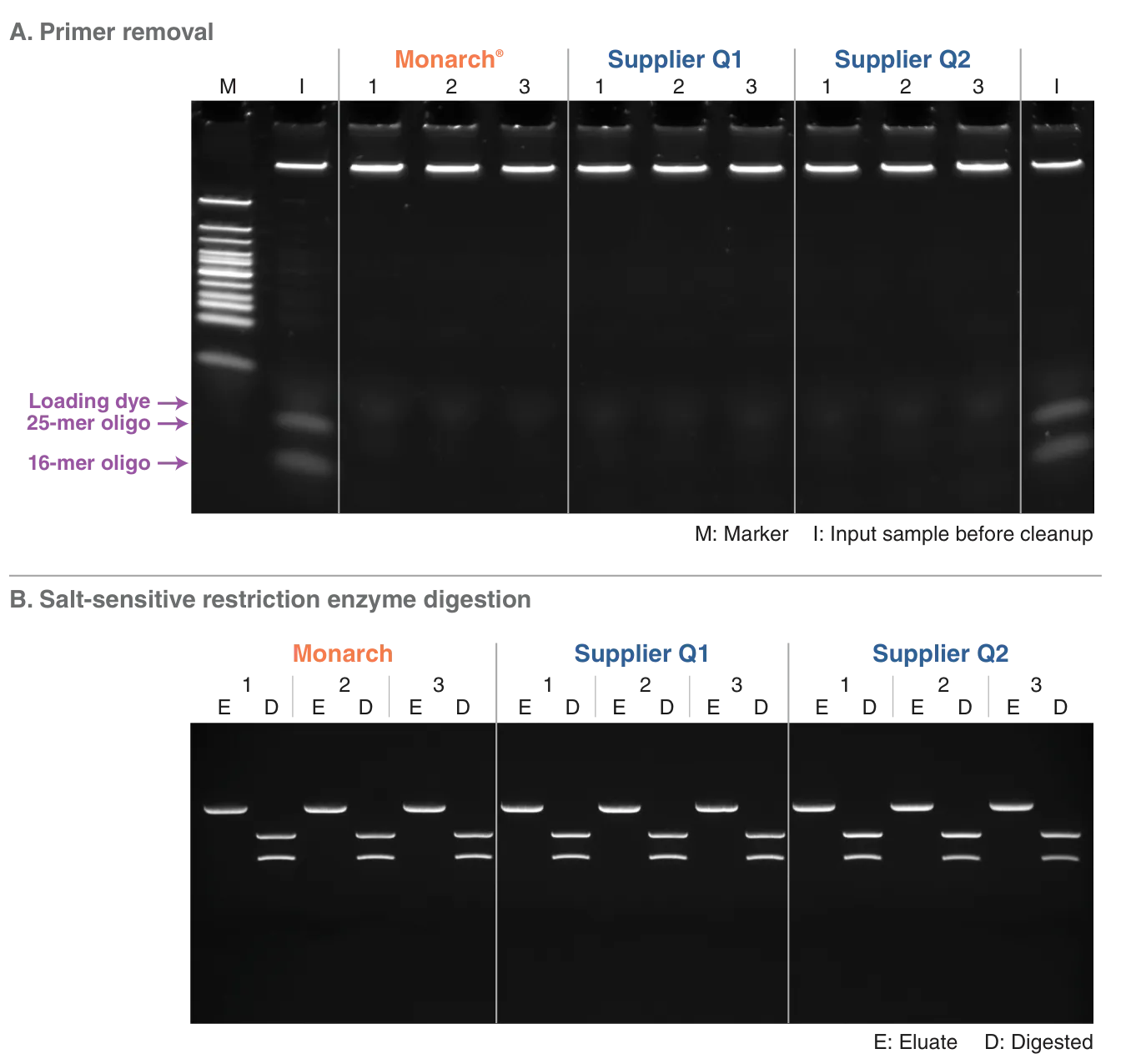 Gel photos showing high quality