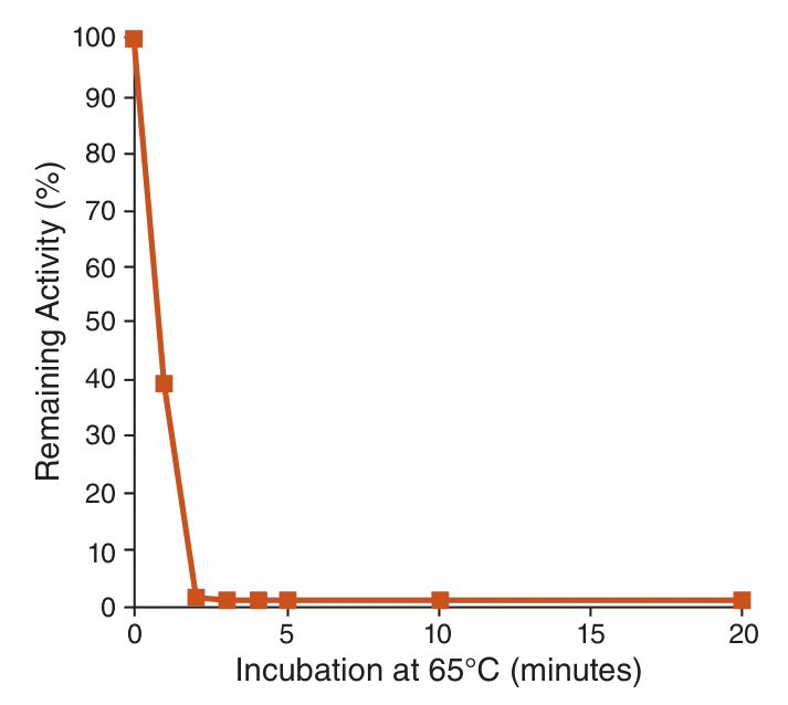 Line graph depicting heat inactivation for Shrimp Alkaline Phosphatase – rSAP