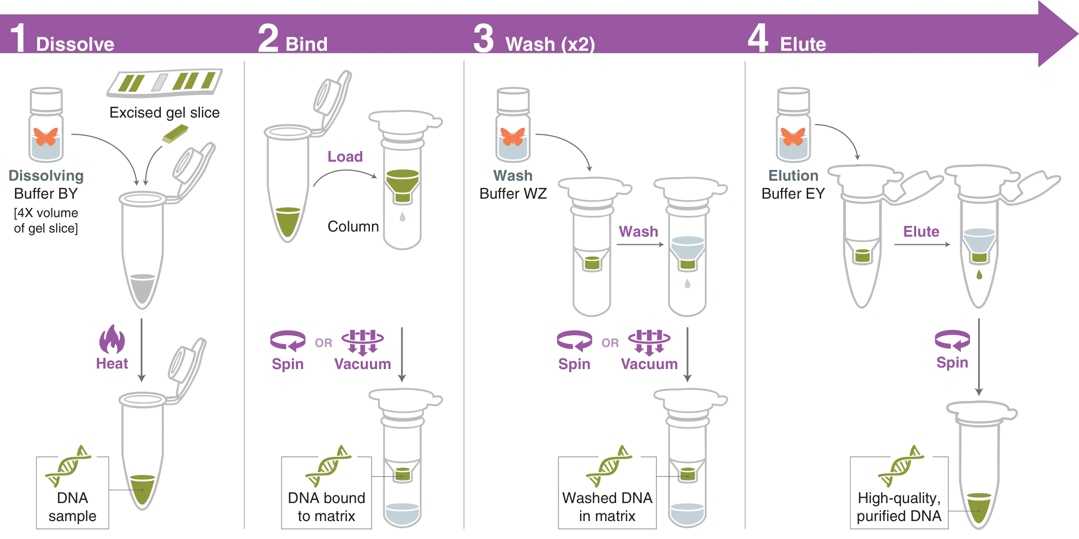 Infographic showing workflow