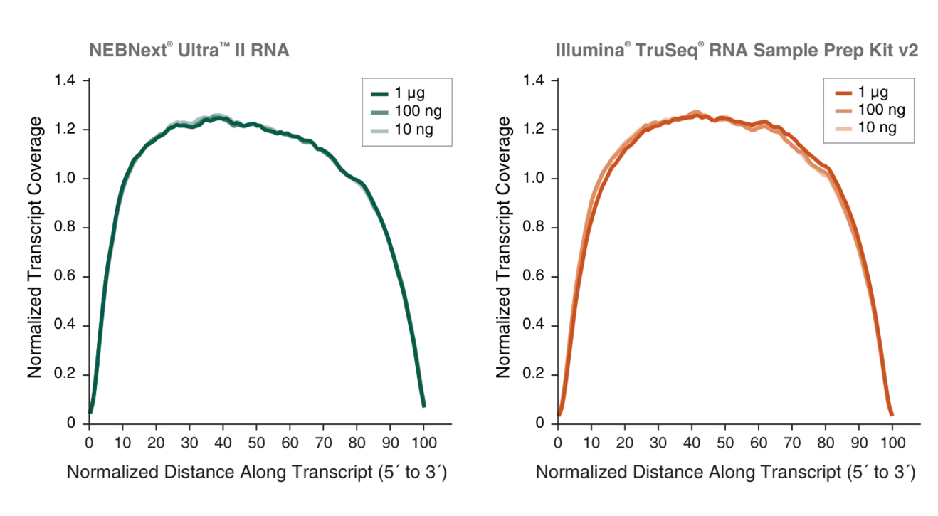 Line graphs transcript coverage with the NEBNext® Ultra™ II RNA Library Prep Kit for Illumina®