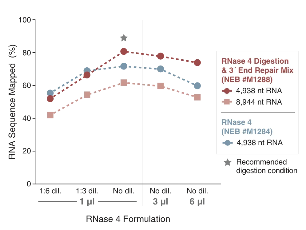 RNase 4 Digestion and 3' End Repair Mix | NEB