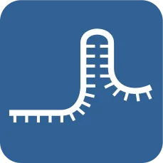 Icon for EnGen sgRNA Oligo Designer Tool