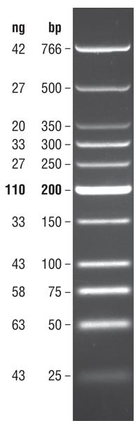 Low Molecular Weight DNA Ladder