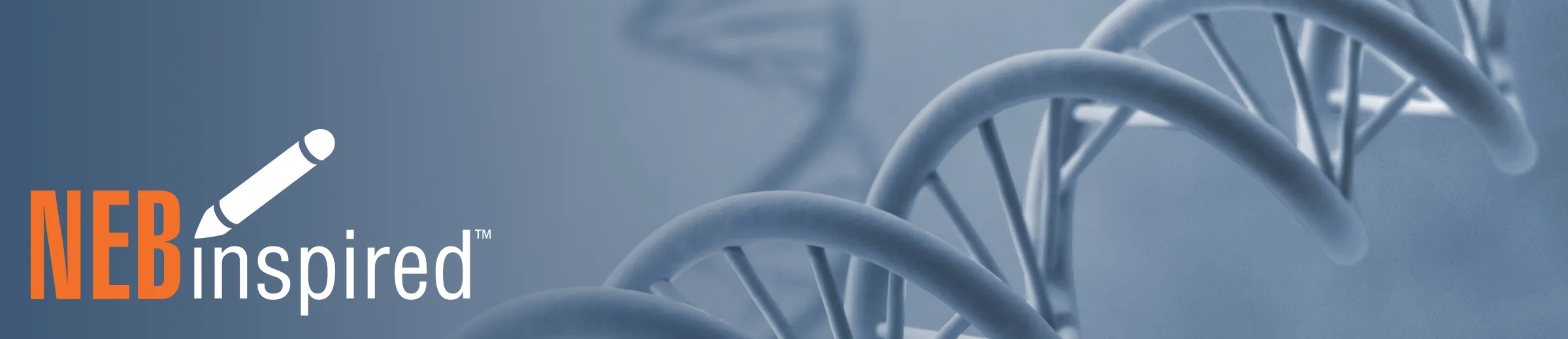 Blue DNA double helix, with NEBinspired logo