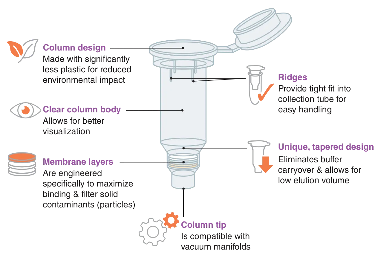 Illustration of Monarch® Spin Column S2D design and corresponding features