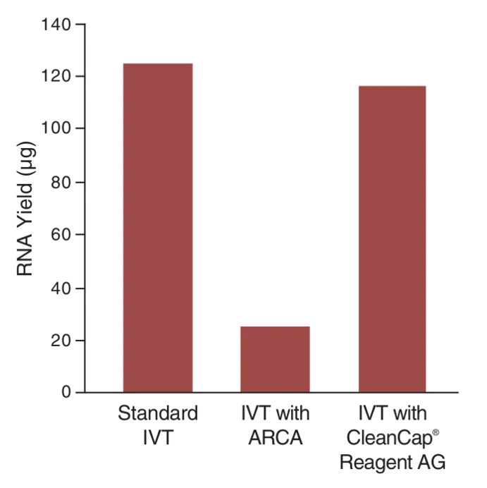 Bar graph comparing RNA yield for Standard IVT, IVT with ARCA and IVT with CleanCap® Reagent AG