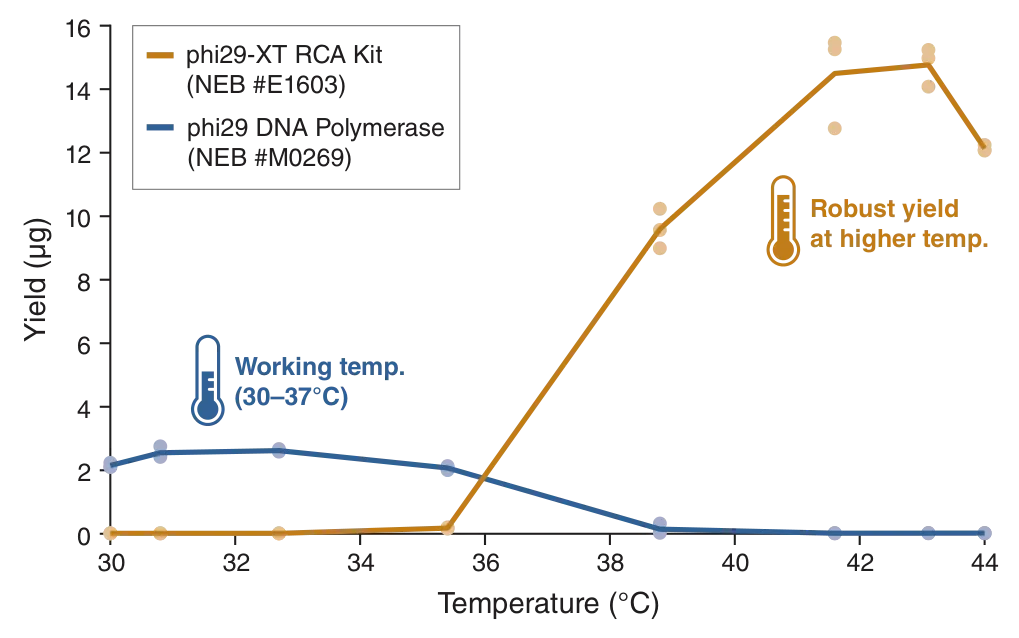 Line graph depicting robust yield at higher temperature using phi29-XT DNA Polymerase 