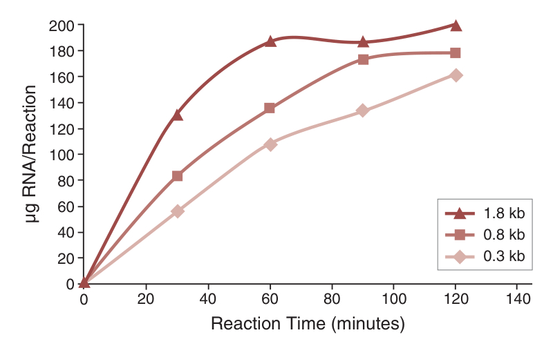 Line graph of RNA synthesis yield versus reaction time